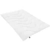 Irisette Microfaserbettdecke Steppbett Micro Thermo, Füllung: Markenhohlfaser irisette®, Bezug: soft und anschmiegsam, waschbar bis 60°C, entwickelt in Deutschland