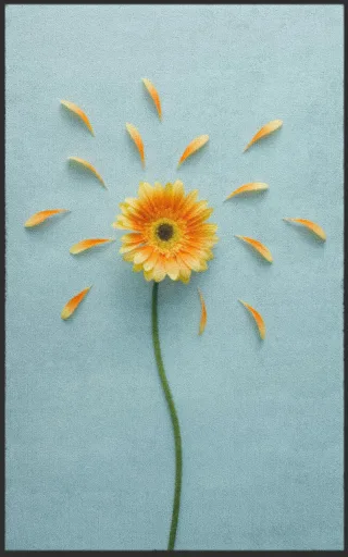Fussmatte 7672 | Größe: 60 cm x 90 cm
