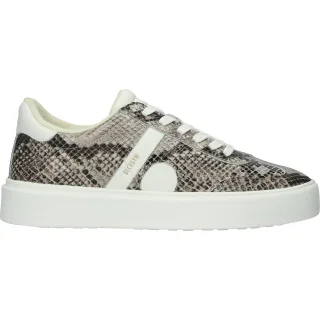 QUARTZ AUDEN - EL280 Snake Grey - Sneaker (niedrig)