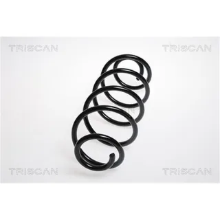 Triscan Feder hinten Peugeot 207/207+