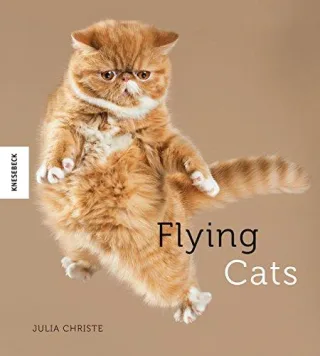 Flying Cats: Katzen in der Luft ? originelle Fotos grandioser Katzen-Sprünge