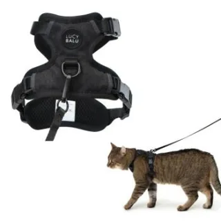 LucyBalu EXPLORER Katzengeschirr schwarz S