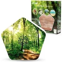 Olympia Wanddekoobjekt Sounds of Nature Vogelgesang Bachgeflüster Bergwiesen Meeresrauschen, Naturklänge für Entspannung, Box Soundbox Musikbox mit Bewegungssensor