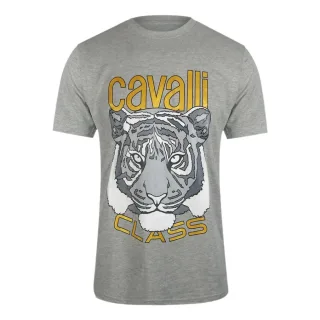 Cavalli Class - T-shirt In Grau Mit Kräftiger Tiger-grafik