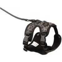 LucyBalu Katzen-Halsband EXPLORER Katzengeschirr mit Leine