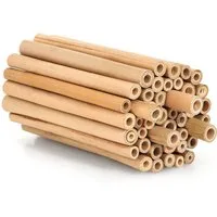 BEESI Insektenhotel Bambusröhrchen 100 Stk 10 cm – Füllmaterial, (Insektenhaus für Wildbienen, 100-St., I Wildbienenhotel Nisthülsen Bienenhotel), 10 cm