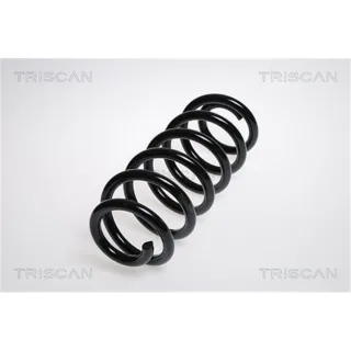 Triscan Feder vorne Audi A6 C6 875029187