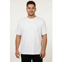 Levi's® Plus T-Shirt LSE B&T BIG GRAPHIC TEE mit Logostickerei auf der Brust