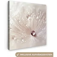 OneMillionCanvasses® Leinwandbild Blume - Abstrakt - Weiß - Wasser - Natur, Fotodruck (1 St), Wandbild, Deko Schlafzimmer Wohnzimmer Flur 20x20 cm