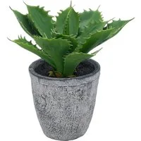 Kunstpflanze Echeveria, Creativ green, Höhe 25 cm, mit naturgetreuem Blattwerk