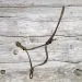 Knotenhalfter - 4 Knoten - Lagerware