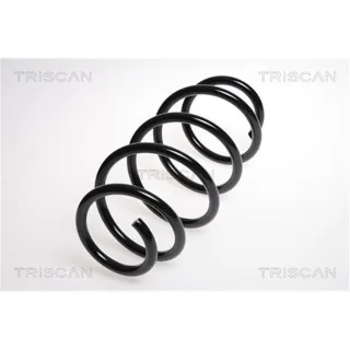 Triscan Feder vorne Opel Vectra 875024124
