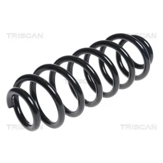 Triscan Feder hinten VW Passat B7