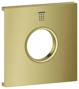 GROHE Metallplatte Grohtherm Aqua Tiles 106887, Symbol: Kopfbrause 1 cool sunrise geb., 106887GN00 106887GN00