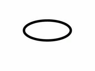 Schell O-Ring zur Spülerhaube für SchellTRONIC SchellMATIC 660830099