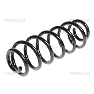 Triscan Feder hinten Skoda Octavia Superb VW Golf