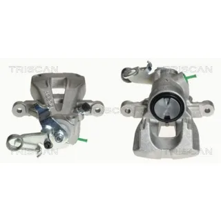 Triscan Bremssattel hinten links Citroen C4 Peugeot 307 8170343658