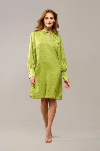 Abilene Kleid Grün
