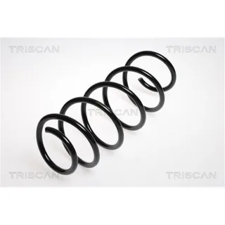 Triscan Feder vorne Seat Cordoba Ibiza