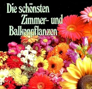 Die schönsten Zimmer- und Balkonpflanzen