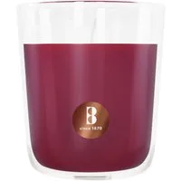 Bolsius Duftkerze Bolsius Duftkerze True Scents Granatapfel 8 cm im
