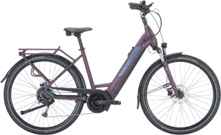 E-Bike    - Pegasus Solero EVO 9 Wave berry   - 55 cm