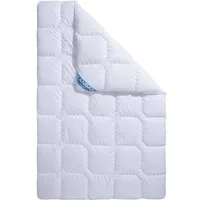 fan Microfaserbettdecke Kansas, Füllung: Polyesterfaser, Bezug: 100% Polyester, Bettdecke in 135x200 cm und weiteren Größen, für Sommer oder Winter