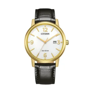 Citizen Herrenuhr Leder BM6756-01A