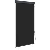 Rollo Außenrollo 80 x 250 cm Anthrazit, vidaXL