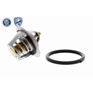 Ackoja Thermostat + Dichtung Hyundai Kia A53-99-0002