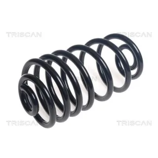 Triscan Feder hinten Mercedes Citan Renault Kangoo 1,6