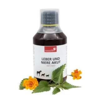 HerzensTier Leber und Niere akut 100 ml