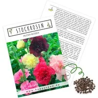 HappySeed Blumensamen Stockrosen Samen - Alcea Rosea (Mix), Rosen