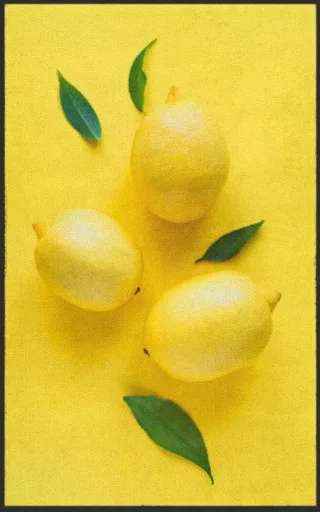 Fussmatte 7517 | Größe: 60 cm x 90 cm
