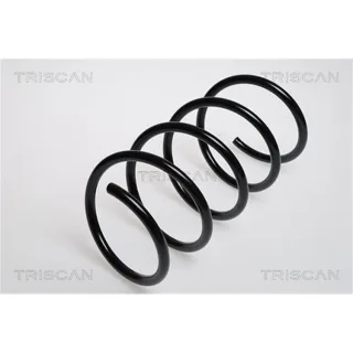Triscan Feder vorne Mercedes A-Klasse W168 87502334