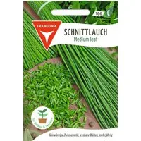 FRANKONIA Kräutersamen Schnittlauch, Medium Leaf - Gewürz Saatgut Schnittlauch-Samen, Allium schoenoprasum