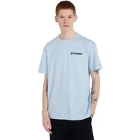 Element T-Shirt Blazin Chest