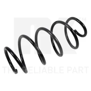 NK Feder vorne VW Golf 5 Plus 2,0