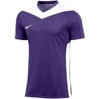 Nike Fußballtrikot Nike Performance Park Derby IV Trikot Kids Teamsport