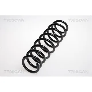 Triscan Feder hinten Alfa Romeo 159 875015128