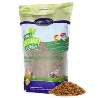 Lyra Pet Soldatenfliegenlarven 5 kg