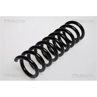 Triscan Feder hinten Mercedes C-Klasse W202