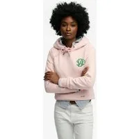 Superdry Kapuzensweatshirt Sd&co Neon Hood