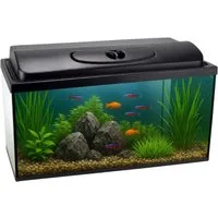 GarPet Aquarium Aquarium 50x30x30 45 L Starterset Becken mit Abdeckung LED Beleuchtung
