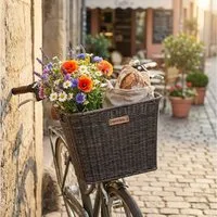 Basil Fahrradkorb Basil Vorderradkorb Bremen FM Rattan dunkelbraun 26x35x27 cm