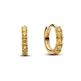 Pandora Creolen Timeless 263849C01