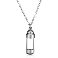 LuxusKollektion Kettenanhänger Edelstahl Asche Schmuck Urnen Anhänger Kette Geschenk Silber
