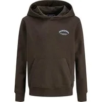 Jack & Jones Junior Kapuzensweatshirt JJEBRANDES BACKP RELAXED (1-tlg., Geschenkidee)