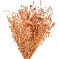Trockenblume Boho Trockenblumenstrauß Orange Apricot Deko 45cm 80g, Viana, Höhe 45 cm
