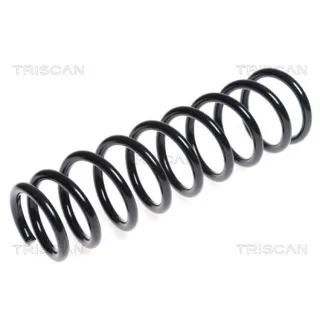 Triscan Feder hinten Mitsubishi Outlander 87504290